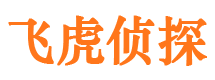 雷波寻人公司